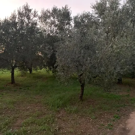 Casa Nel Orbetello Albinia